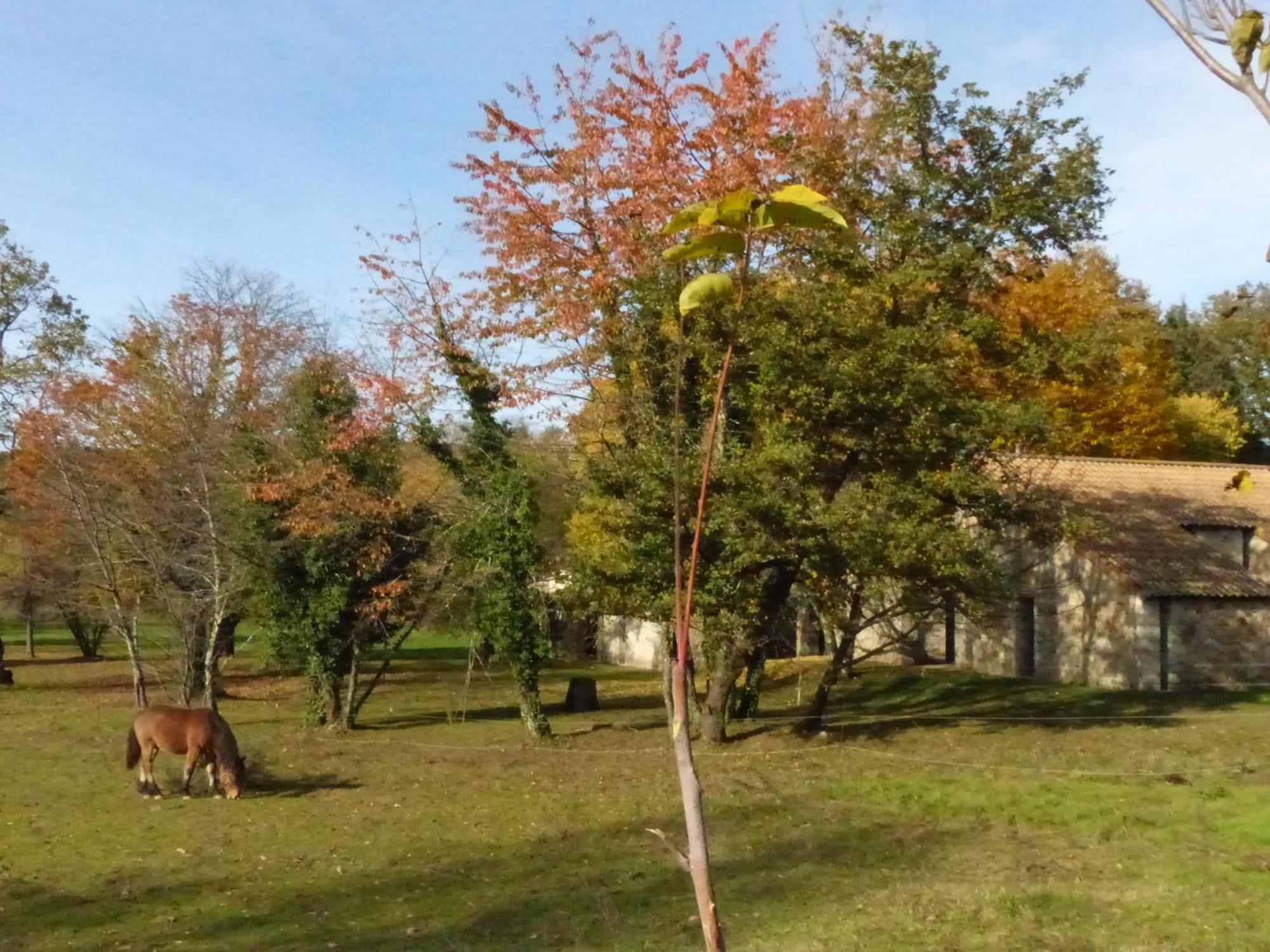 Terres De France - Le Domaine Des Vans Chambonas المظهر الخارجي الصورة